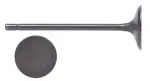 IM3216 - : Engine Intake Valve for Enginetech Image