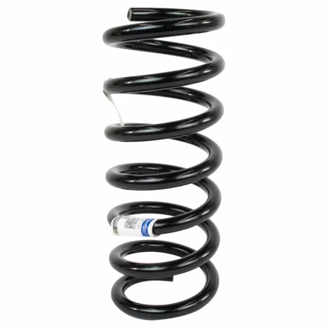DG9Z5560G - Suspension: Coil Spring for Ford: Fusion, Police Responder Hybrid, SSV Plug-In Hybrid Image