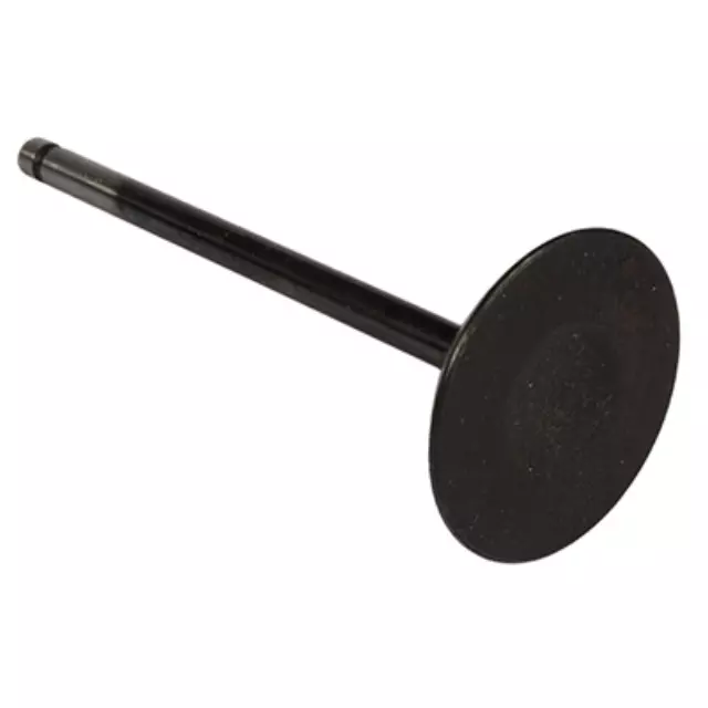 Intake Valve - Ford (AA5Z-6507-A)