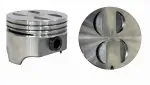 P15018030 - : Engine Piston Set for Enginetech Image