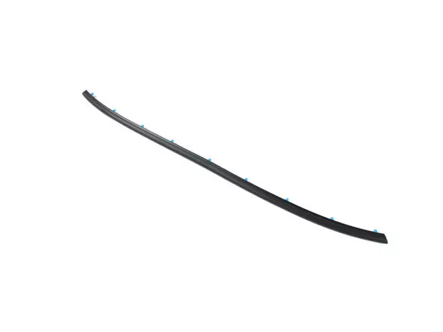 Front Door Opening Weatherstrip, Right Or Left - Mopar (68285482AA)