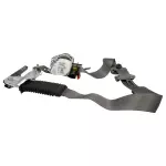JL3Z63611B08AD - Electrical: Outer Belt for Ford: F-150 Image