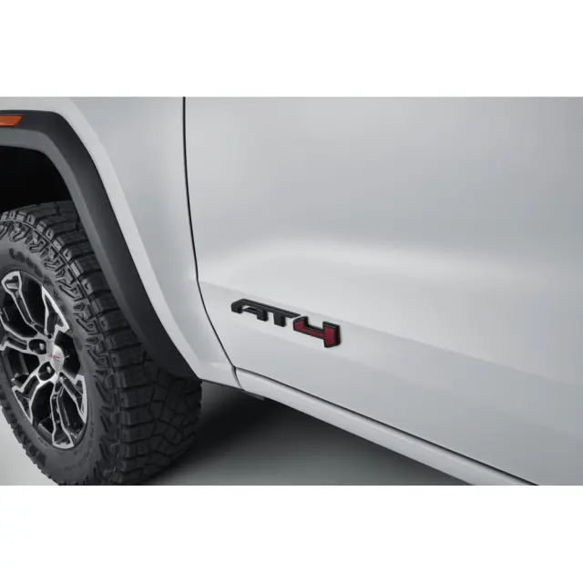 Emblem Pkg - GM (85056294)