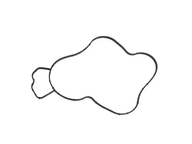 Water Pump Gasket - Mopar (68165890AA)