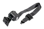 19208909 - Electrical: Center Seat Belt for GM Image