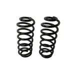 81789 - : Coil Spring Set for Moog Image