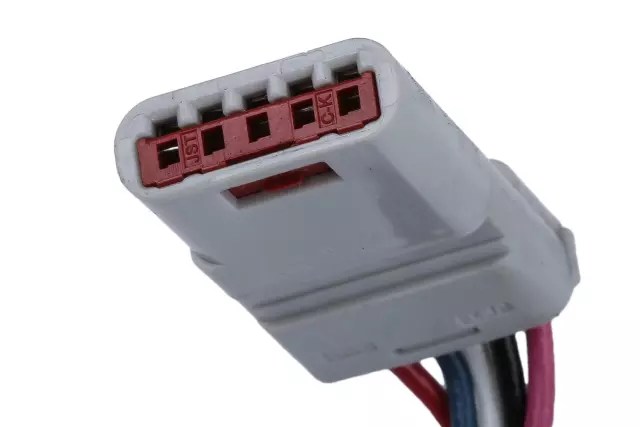 Rearview Driver Information Camera - GM (39078238)