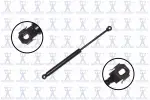 84422 - : Hood Lift Support for Focus Auto Parts Image