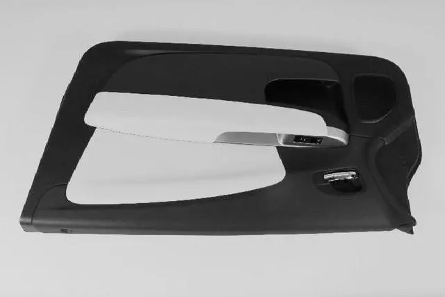 Door Trim Panel - Mopar (1XP501X9AB)