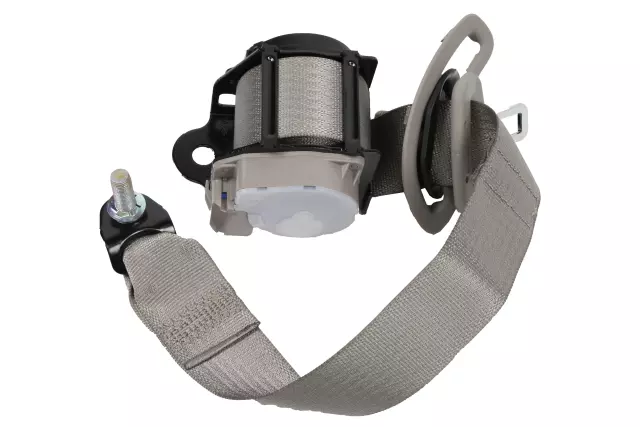 19260981 - Electrical: Outer Belt Assembly for Cadillac: ATS Image