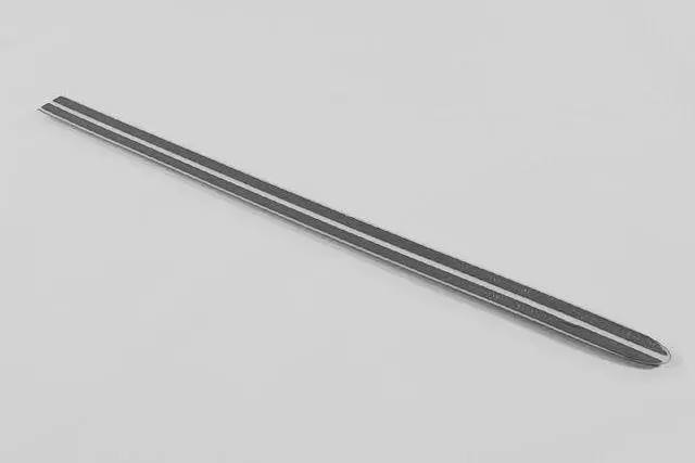 Rear Door Molding - Mopar (5FX96XRVAA)