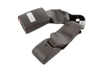 42886427 - : Buckle for GM Image