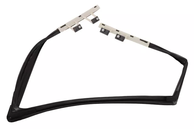 Driver Side Rear Door Window Weatherstrip - GM (20869146)