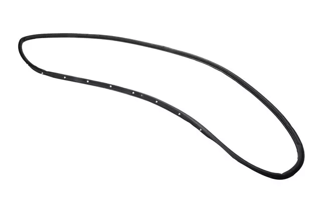 Rear Driver Side Door Weatherstrip - GM (84011071)