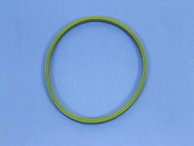 Fuel Pump Assembly Seal - Mopar (04809308AA)