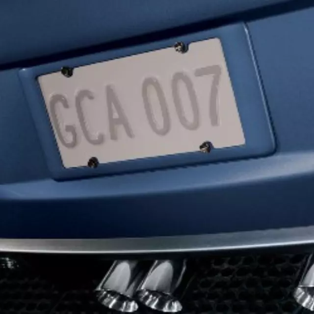 Rear License Plate Holder - GM (20922286)