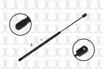 84320 - : Back Glass Lift Support for Focus Auto Parts Image
