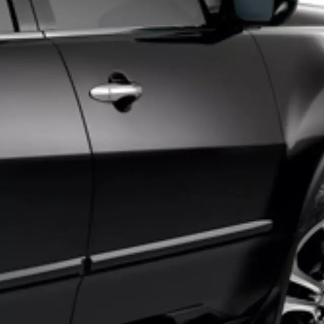 Body Side Molding - Polished Metal Metallic - Acura (08P05-STX-2F1)