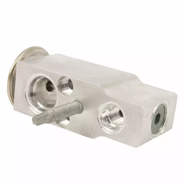 Expansion Valve - FORD (9m6z19849a)