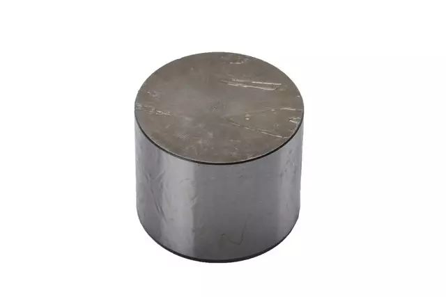 Valve Lifter - GM (19205471)