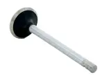 V1761 - : Engine Exhaust Valve for Enginetech Image