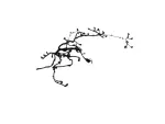 68417509AC - Electrical: Engine Wiring for Mopar Image