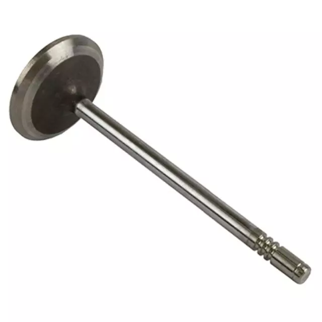 Engine Intake Valve - Ford (xl3z6507ba)