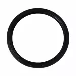 F1SZ6701A - Engine: Crankshaft Seal for Ford Image