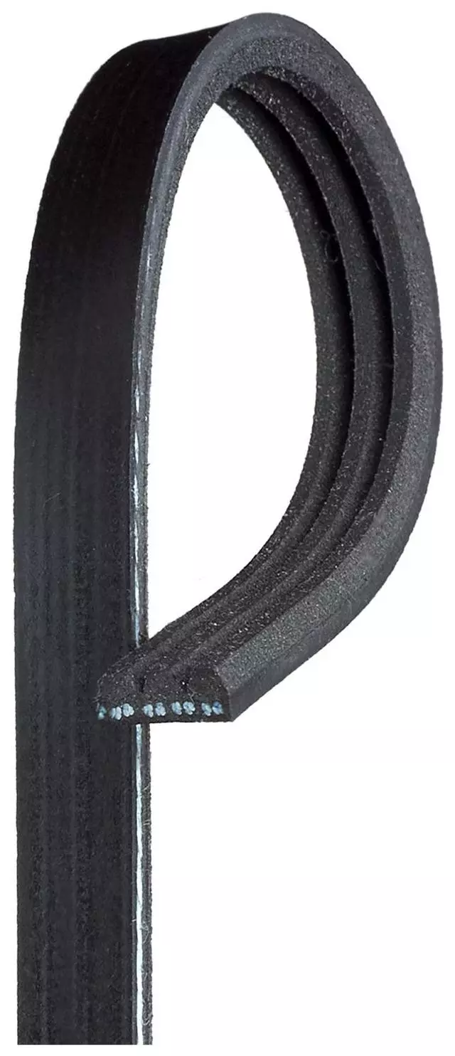 3K334 - : Standard V-Ribbed Serpentine Belt for ACDelco Image