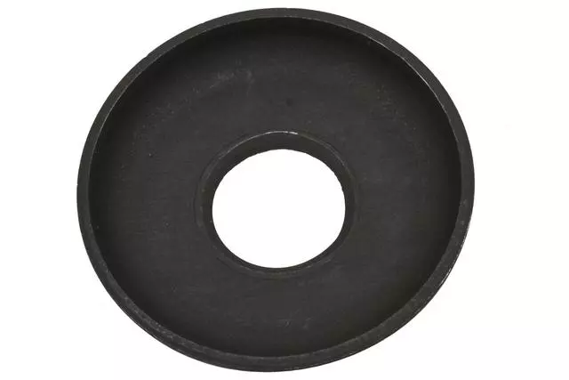 Strut Mount Retainer - GM (90223654)
