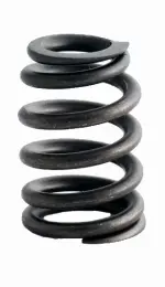 ERV3517 - : Engine Valve Spring for Enginetech Image