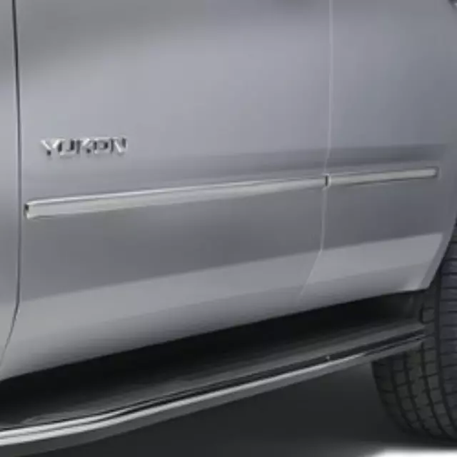 Exterior Trim, Bodyside Molding - GM (23474365)