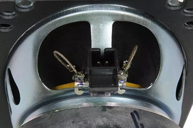 Rear Speaker - GM (85124124)