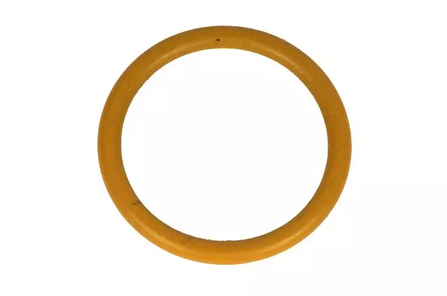 12582448 - Belts &amp; Cooling: Engine Coolant Pipe O-Ring for Chevrolet: Equinox | Pontiac: Torrent Image