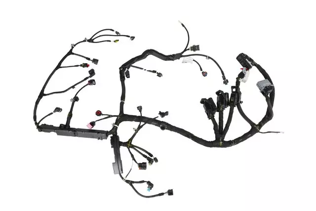 Engine Control Module and Engine Wiring Harness - GM (13466360)
