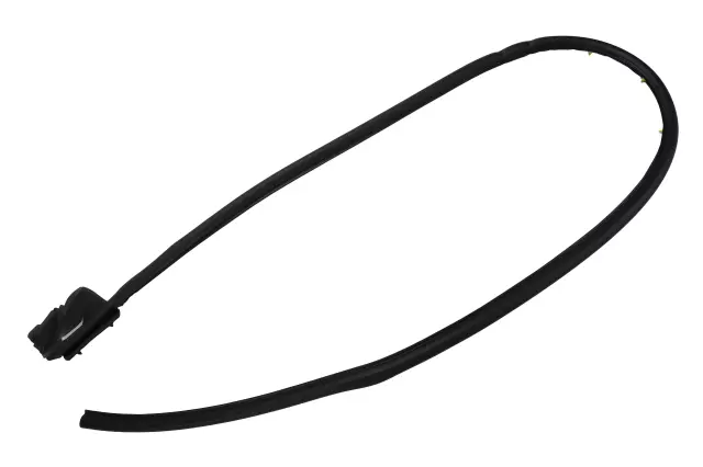 23443732 - Body: Door Weather-strip for GM Image
