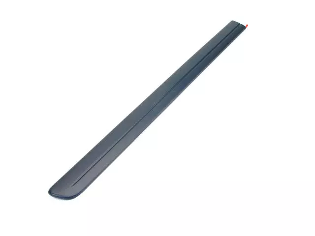 WV94TZZAA - : Sliding Door Molding, Right for Mopar Image