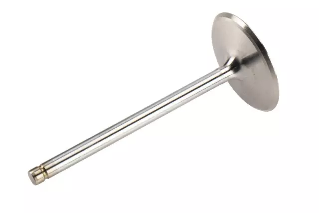 Intake Valve - GM (12569427)