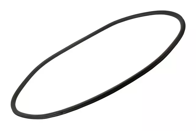 Passenger Side Rear Door Weatherstrip - GM (95190189)