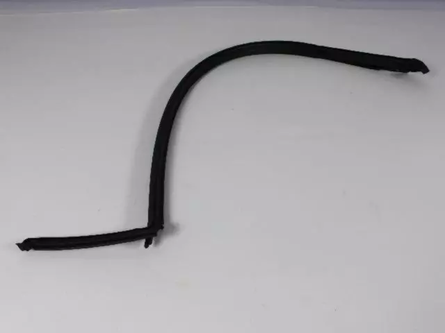 Door Glass Weatherstrip, Left - Mopar (5174507AA)