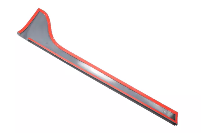 Front Passenger Side Door Molding - GM (19120552)