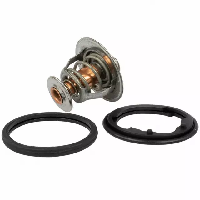 Thermostat Assembly - Ford (QRT-18)