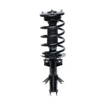 818899 - : PRT 818899 Suspension Strut and Coil Spring Assembly for PRT PERFORMANCE RIDE Image