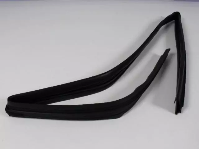 Front Door Glass Run Weatherstrip, Right - Mopar (55399190AH)