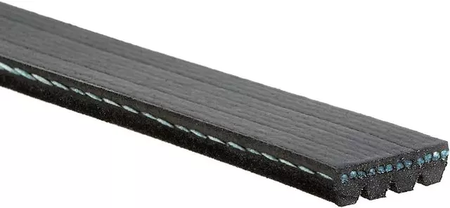 Belt - GM (88932514)