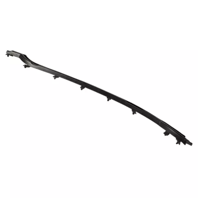 Front Weather-Strip - Ford (DP5Z-5425324-C)