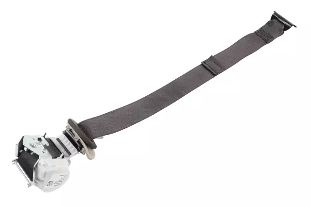 19330737 - Electrical: Outer Belt Assembly for Cadillac: Escalade | Chevrolet: Tahoe | GMC: Yukon Image