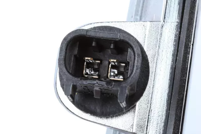 25754003 - : Rear Driver Side License Plate Lamp for GM Image