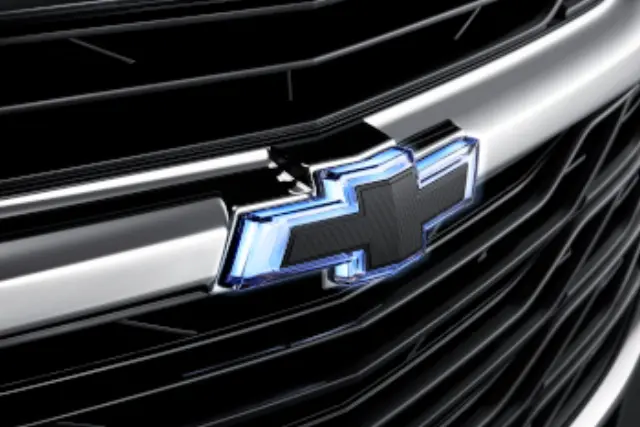 42886008 - Exterior: Exterior Emblems Black Bow-Tie for GM Image