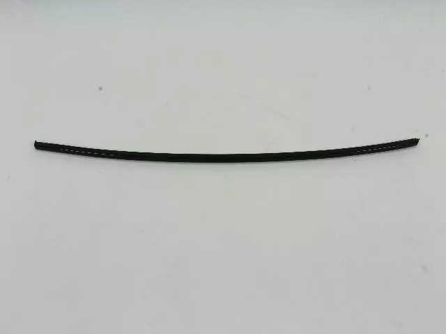 YA01P41AA - Exterior  Ornamentation: Drip Rail Molding, Left for Mopar Image